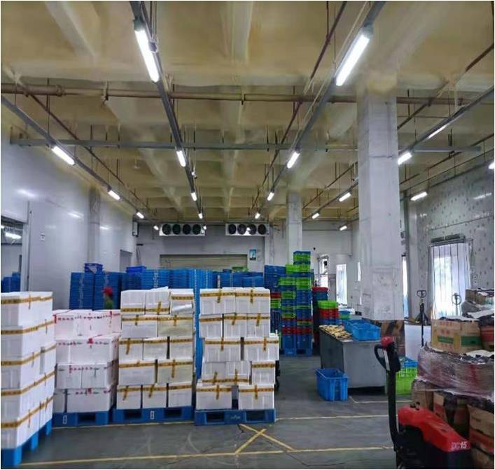 冷库建设安装